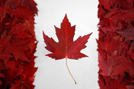 Free Canadian Flag Pictures