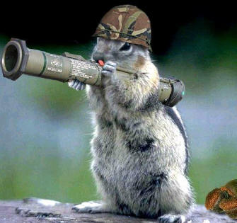 Funny Pictures Of Animals With Guns