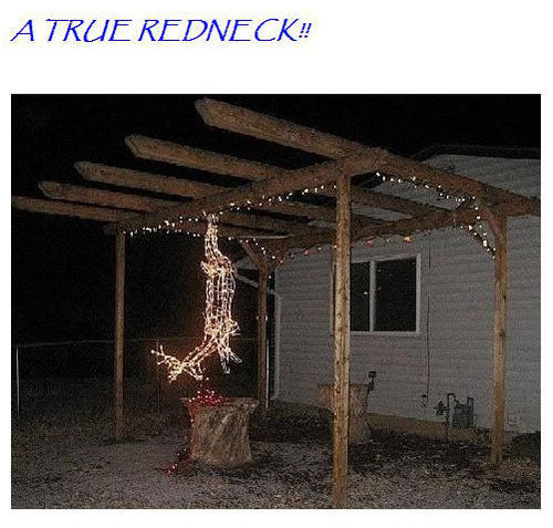 Funny Pictures Of Christmas Lights