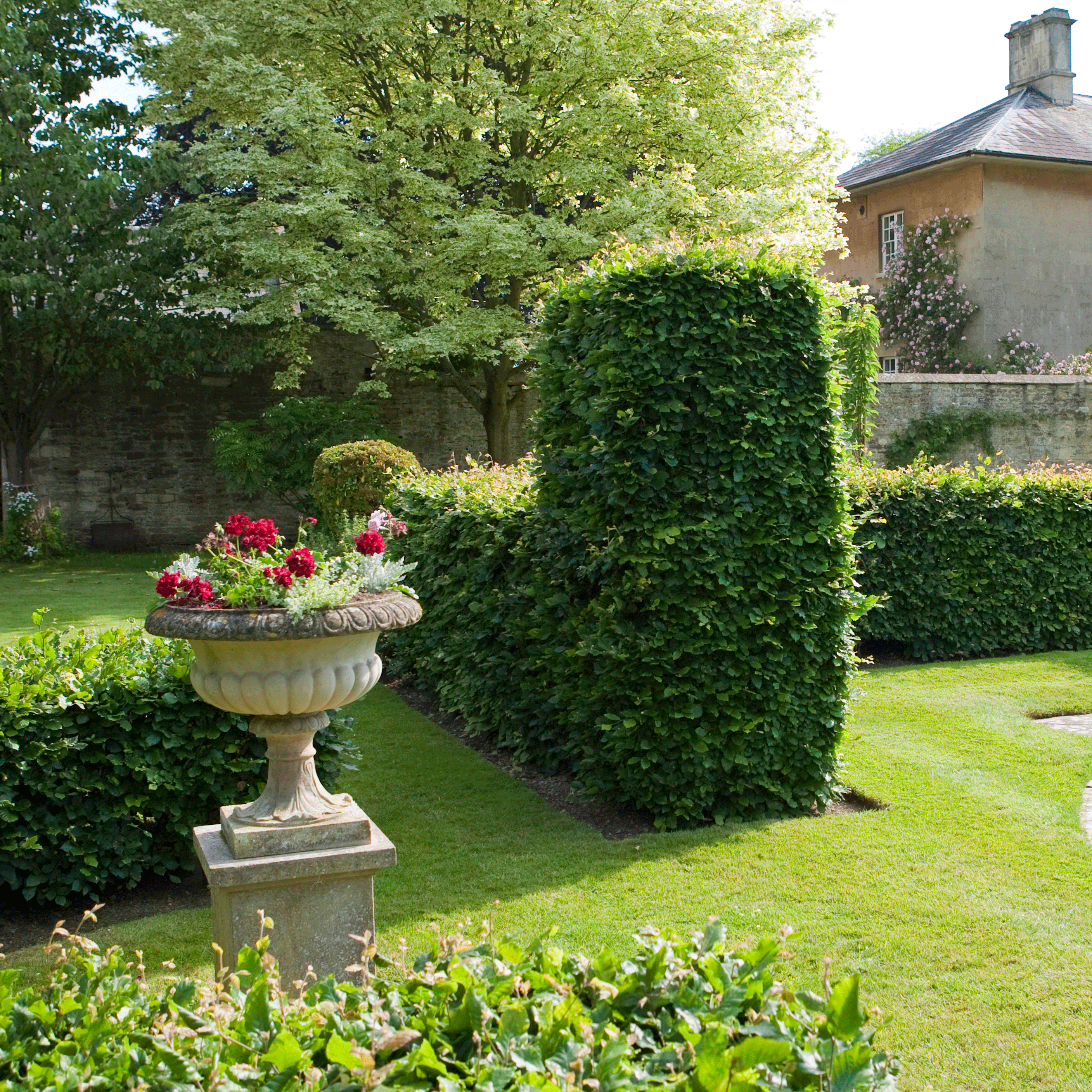 Garden Hedges Ideas