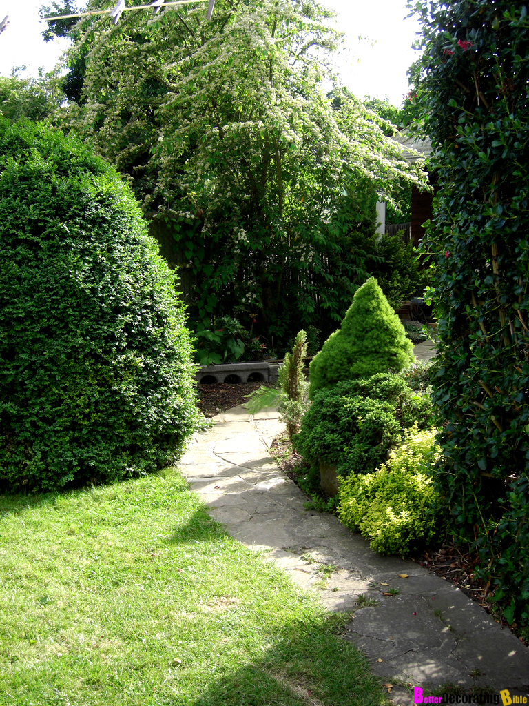 Garden Hedges Ideas