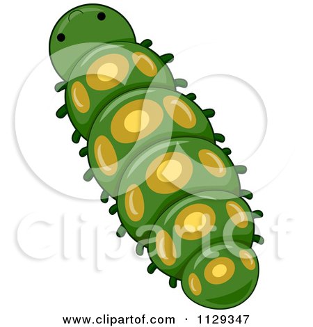 Green Caterpillar Cartoon