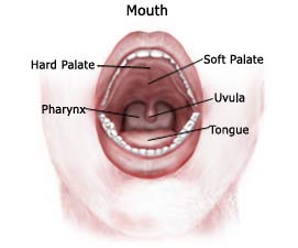 Gum Cancer Signs And Symptoms