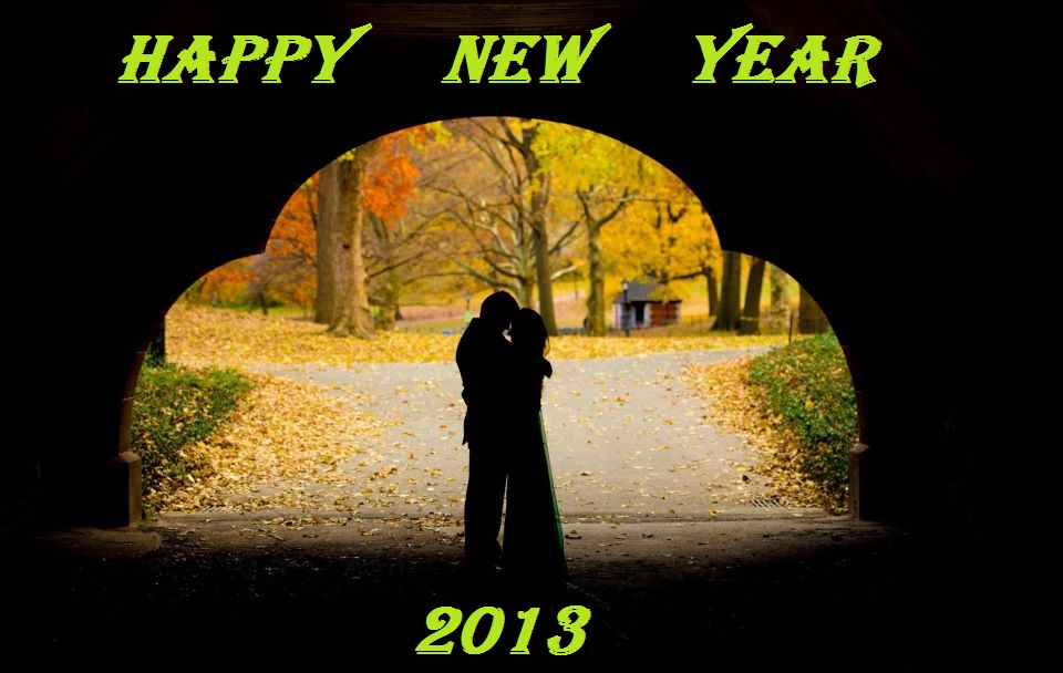 Happy New Year Greeting Cards 2013 In Hindi