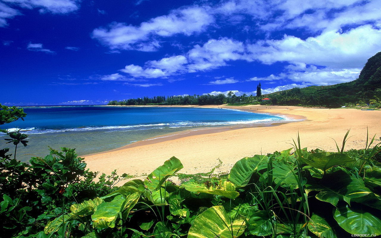 Hawaii Honolulu Beach