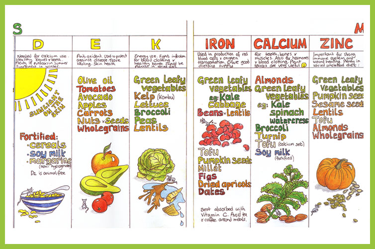 Calcium Diet Chart