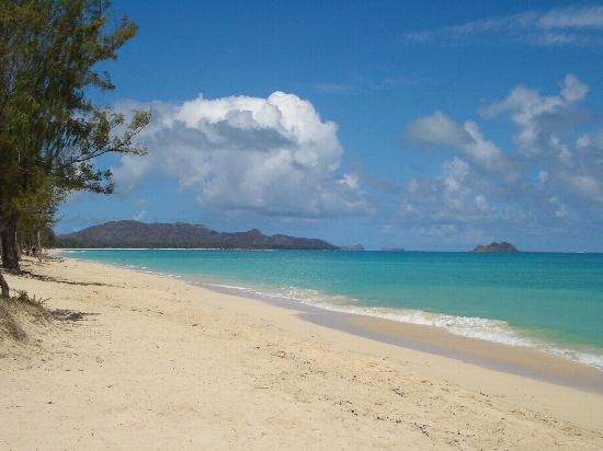 Honolulu Airport Hotel Pictures