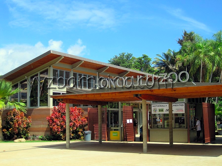 Honolulu Zoo Hours