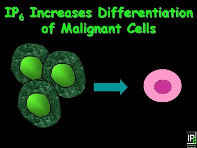 How Are Cancer Cells And Normal Cells Different