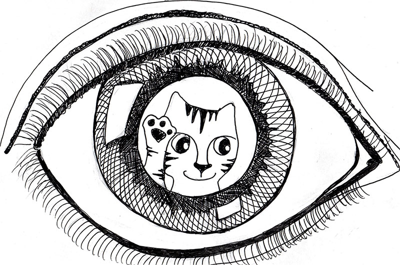 How To Draw A Cartoon Cat Eye