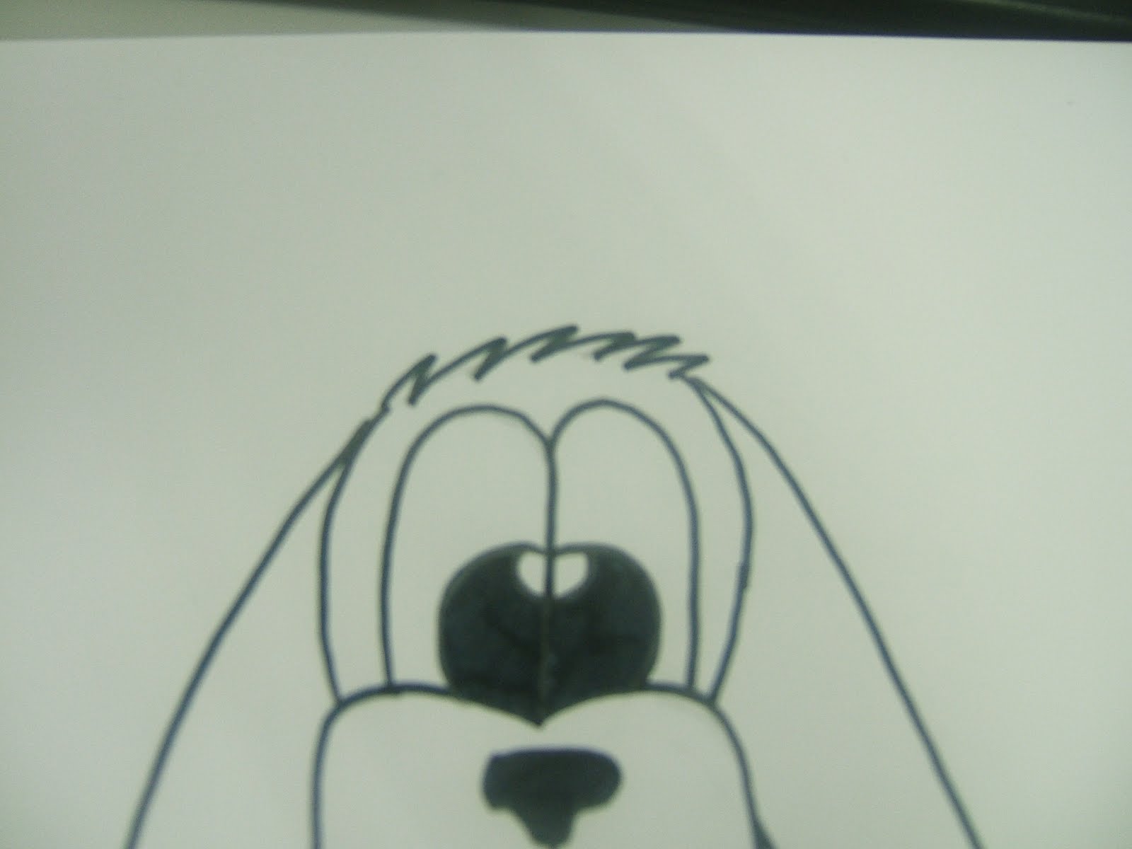 How To Draw A Cartoon Dog Head