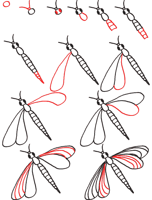 How To Draw A Cartoon Dragonfly