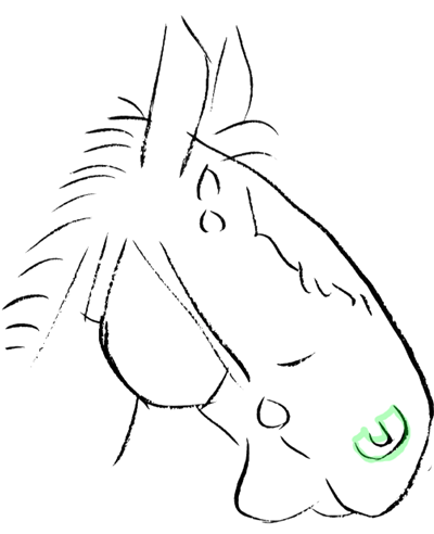 How To Draw A Cartoon Horse Face