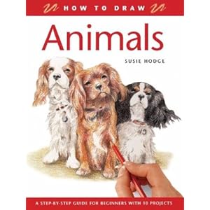 How To Draw A Dog Step By Step For Beginners