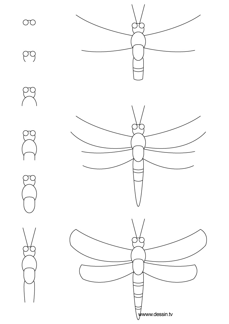 How To Draw A Dragonfly