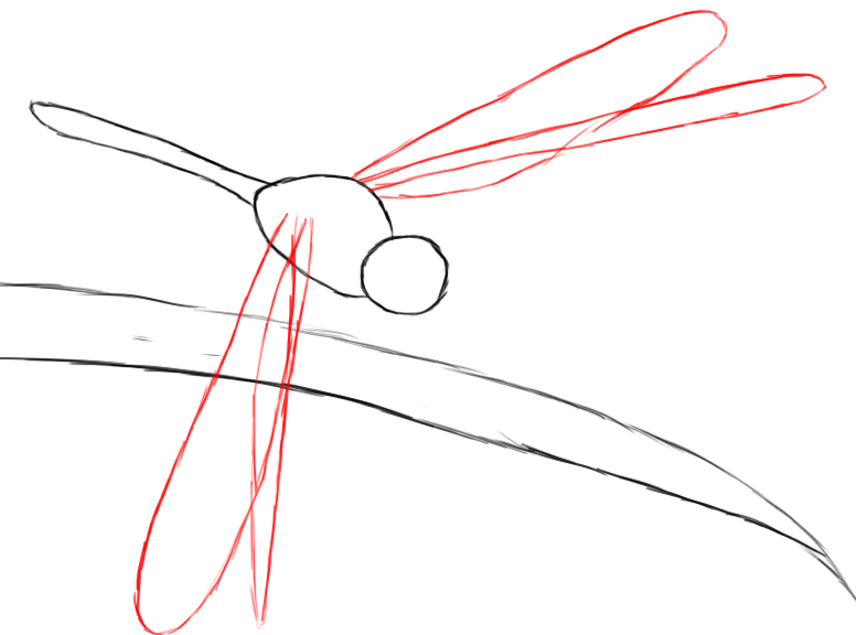 How To Draw A Dragonfly