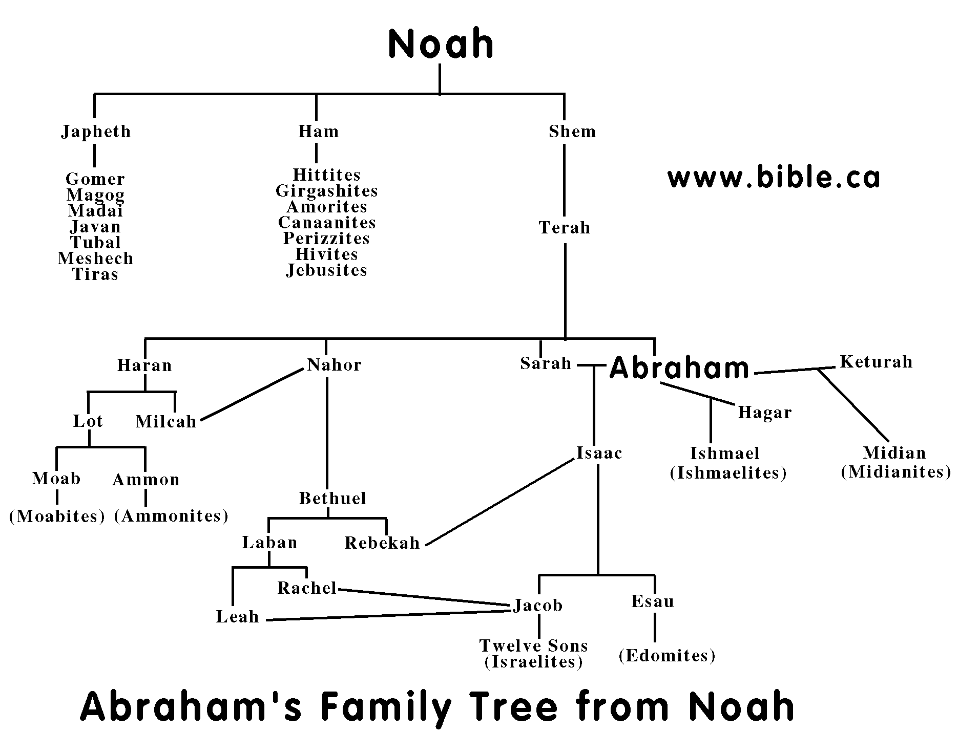 How To Draw A Family Tree Diagram