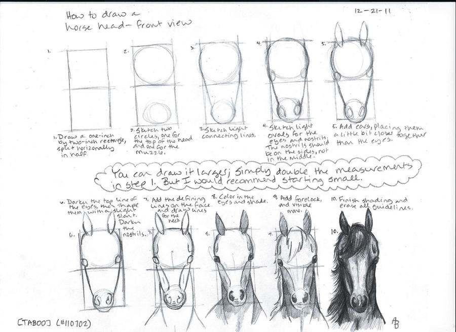 How To Draw A Horse Face Step By Step For Kids
