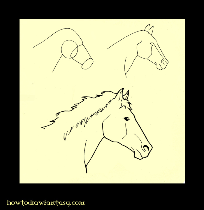 How To Draw A Horse Head Dragoart