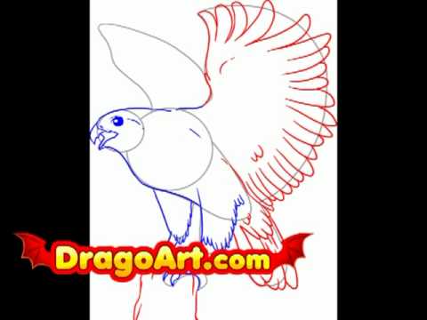 How To Draw A Horse Head Dragoart