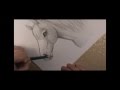 How To Draw A Horse Head Youtube