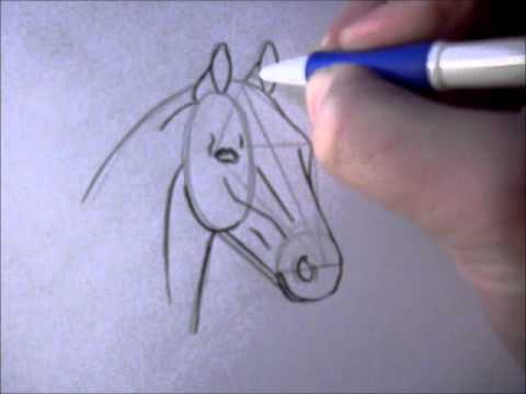 How To Draw A Horse Head Youtube