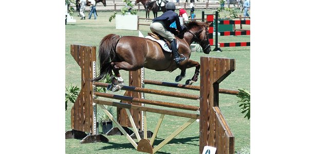 How To Draw A Horse Jumping Over A Jump