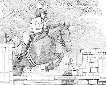 How To Draw A Horse Jumping With A Rider