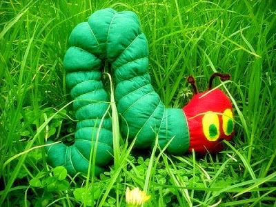 Hungry Caterpillar Cartoon