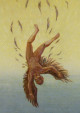 Icarus And Daedalus Cartoon