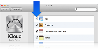 Icloud System Preferences Missing