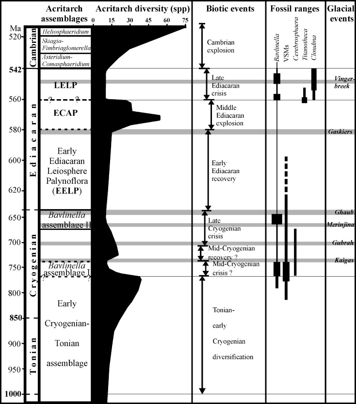 Index Fossils Allow Geologists To