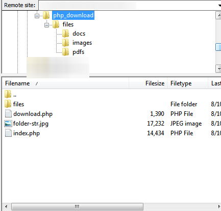 Index.php File Download