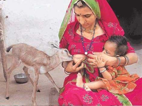 Indian Mother Feeding Baby