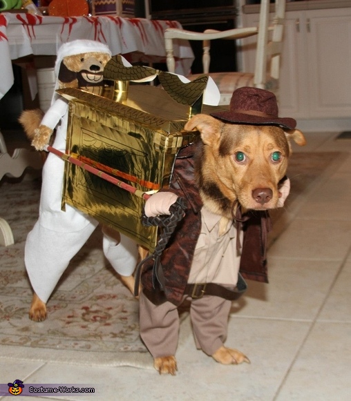 Indiana Jones Costume Ideas For Kids