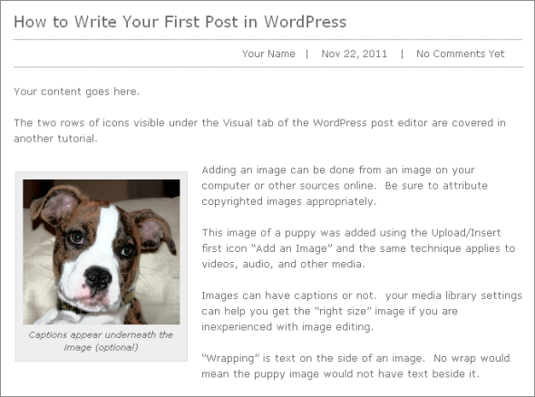 Insert Columns In Wordpress Post