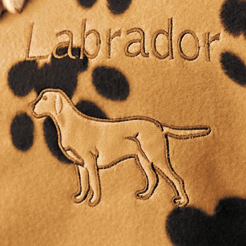 Labrador Dog Breed Info