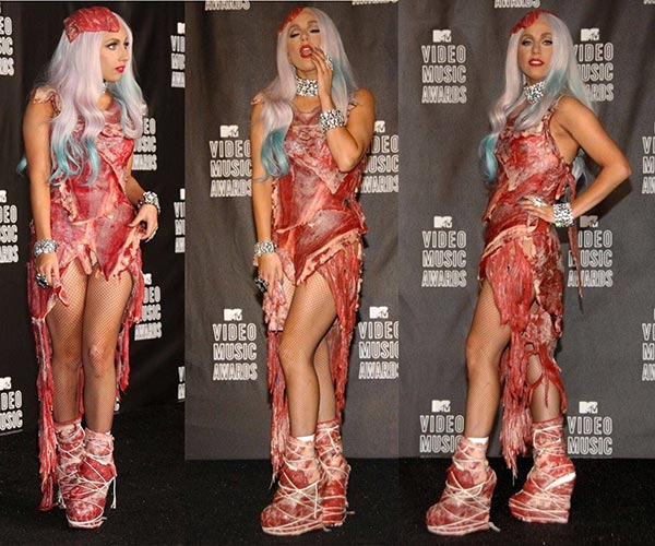 Lady Gaga Meat Dress Costume