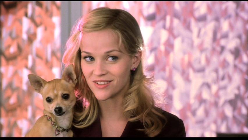 Legally Blonde 2 Quotes