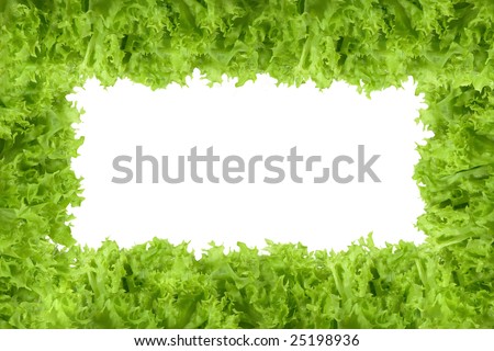 Lettuce Leaves