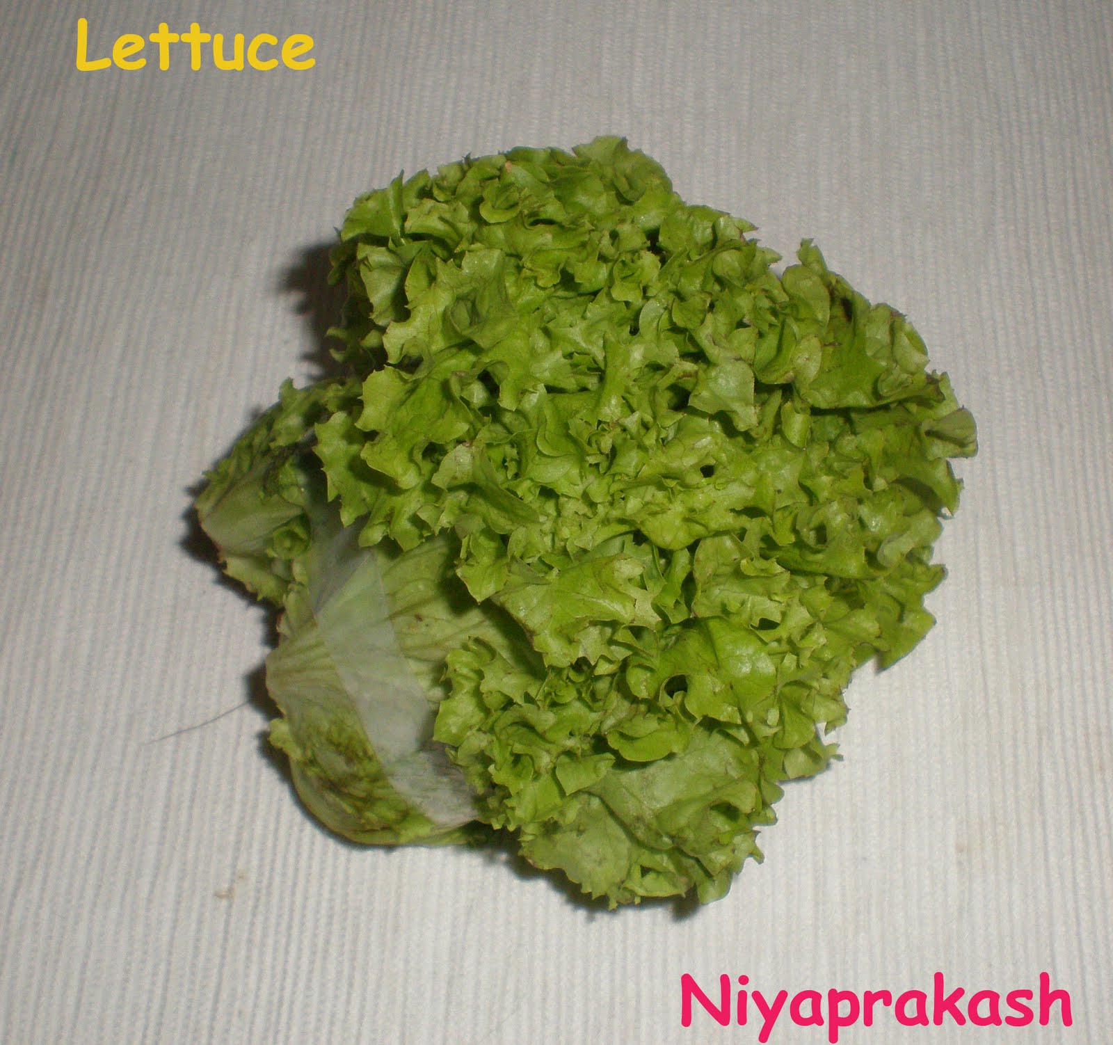 Lettuce Leaves In Tamil