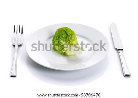 Lettuce Leaves Salad