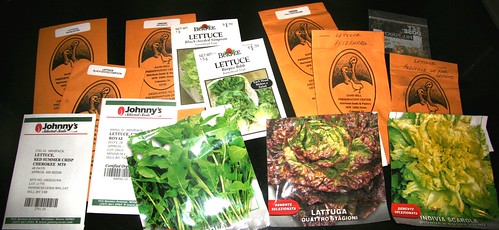 Lettuce Types