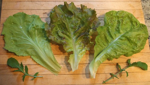 Lettuce Types