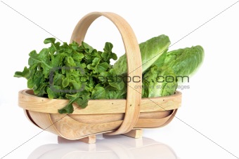 Lettuce Varieties Nutrition