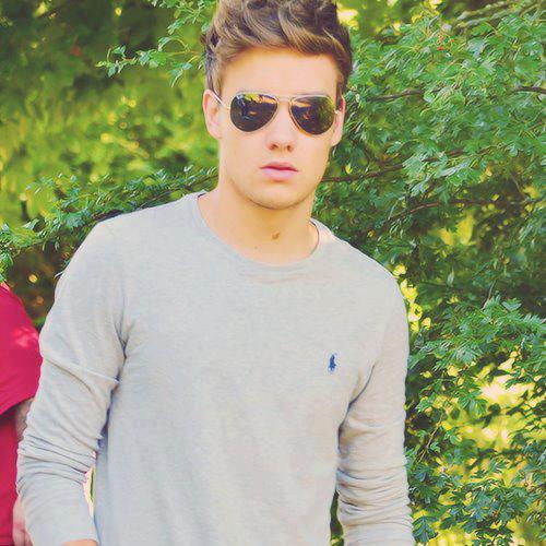 Liam One Direction Hairstyle