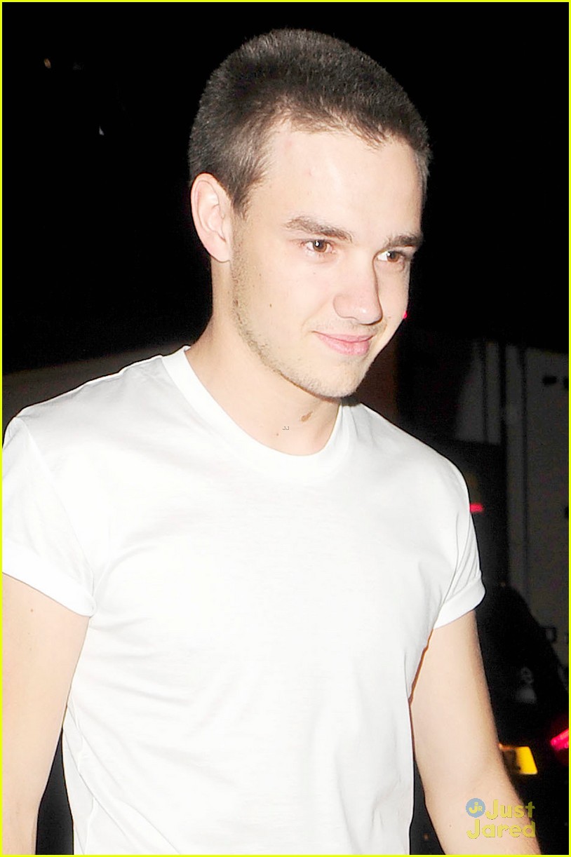 Liam One Direction Hairstyle