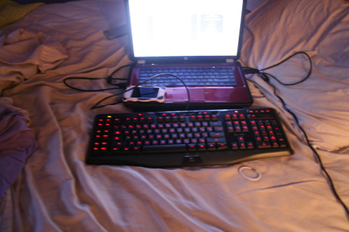 Logitech Gaming Keyboard G510 Swtor