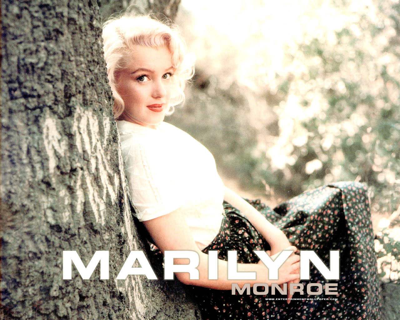 Marilyn Monroe Wallpaper