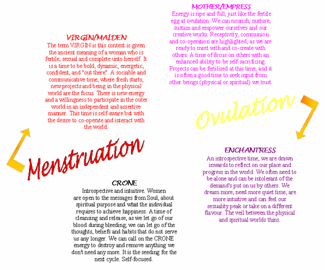 Menstrual Cycle Phases